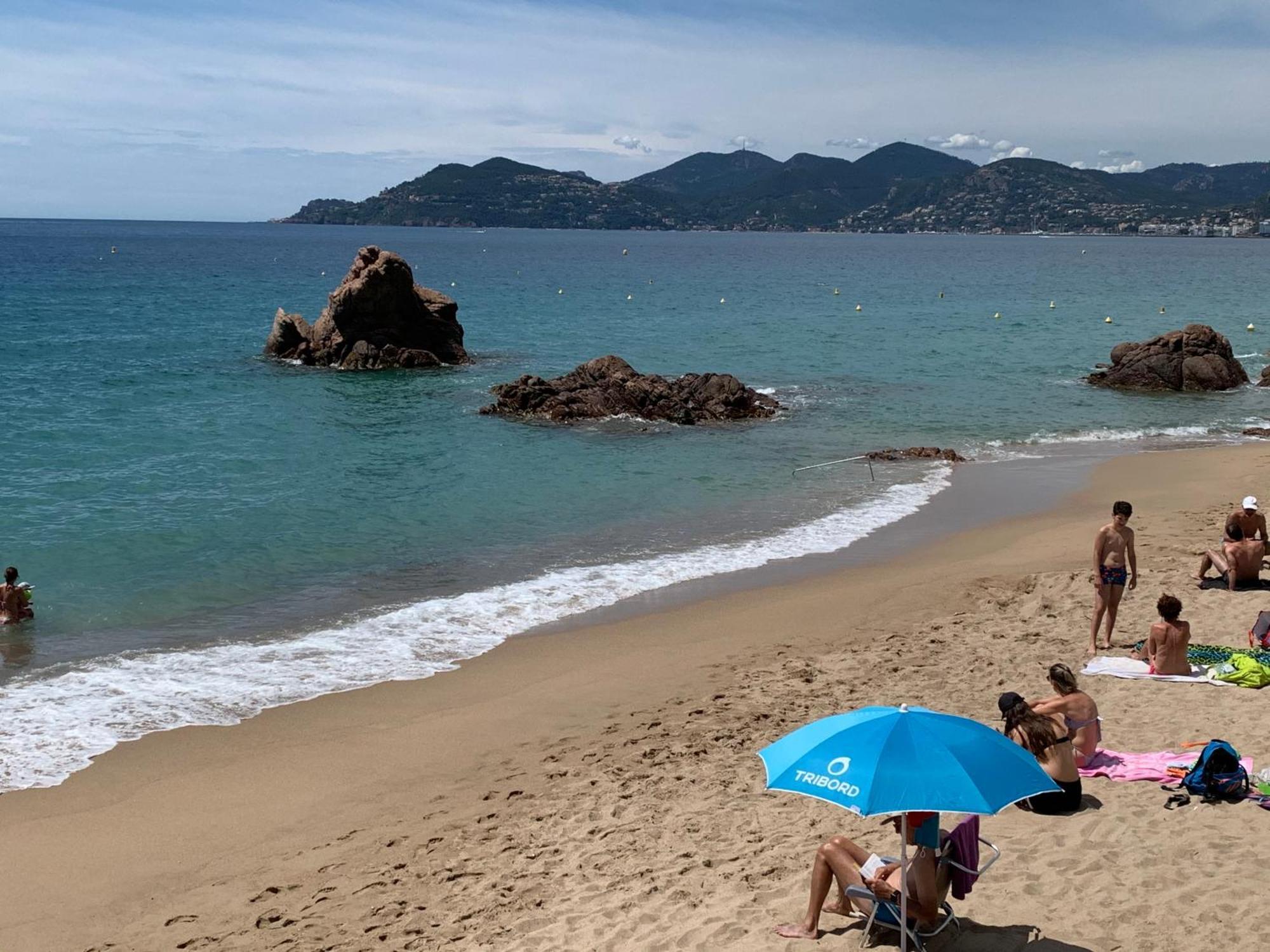 Le Palm Azur - Vue Sur Les Iles De Lerins Apartment